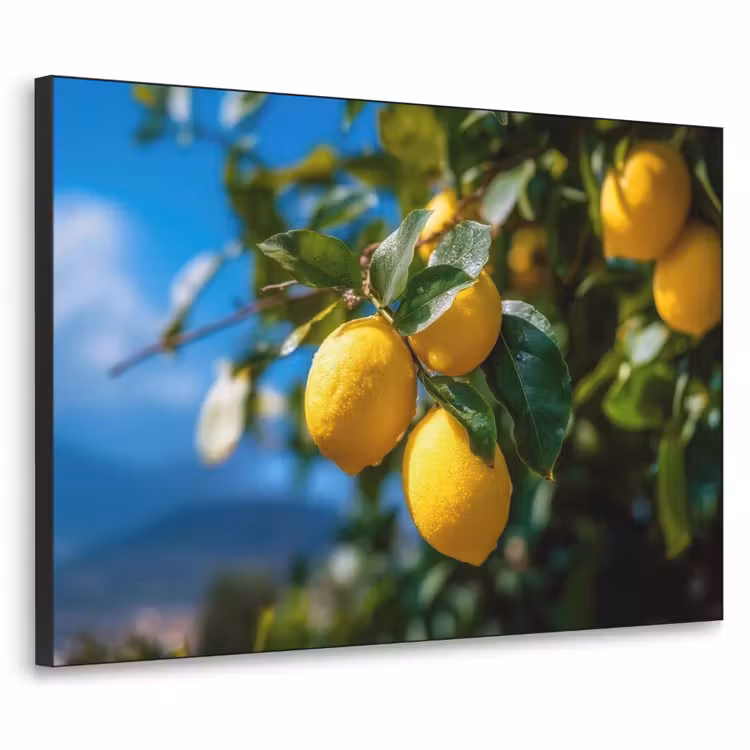 Citroenen - Bladeren - Blauwe lucht Textielframe - compleet frame klein -3d