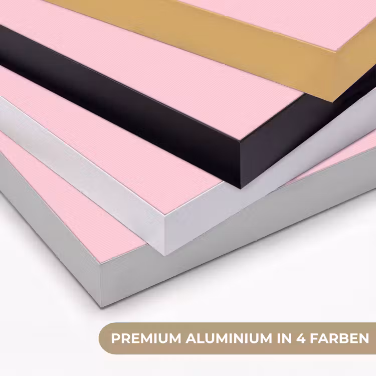 Abstract - Geometrisch - Vormen - Roze Textielframe zwart klein -USP_kleurenDE