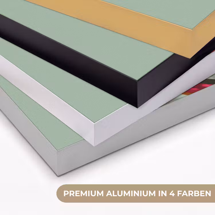 Tak - Bladeren - Kleurrijk - Schaduw Textielframe zwart klein -USP_kleurenDE