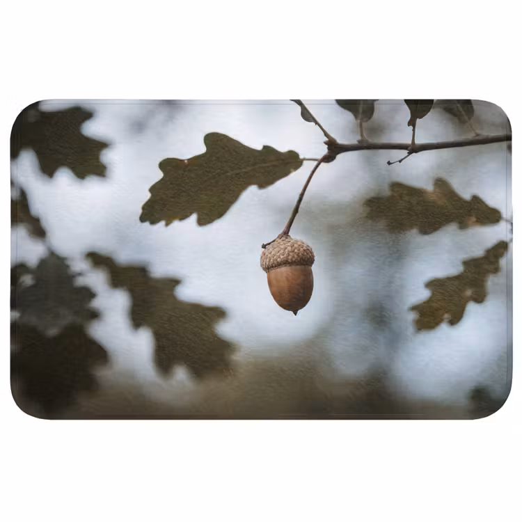 Eikel - Eikenblad - Bos - Herfst - Natuur Badmat middel -3d