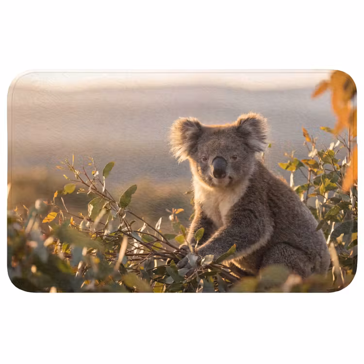 Koala - Bladeren - Ochtendlicht Badmat middel -3d