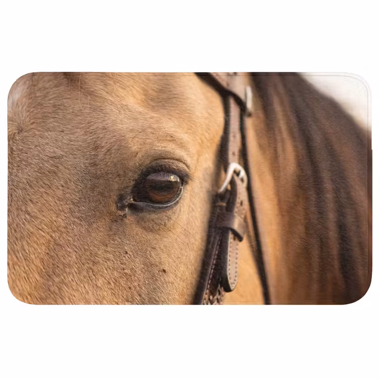 Paard - Oog - Bruin Badmat middel -3d
