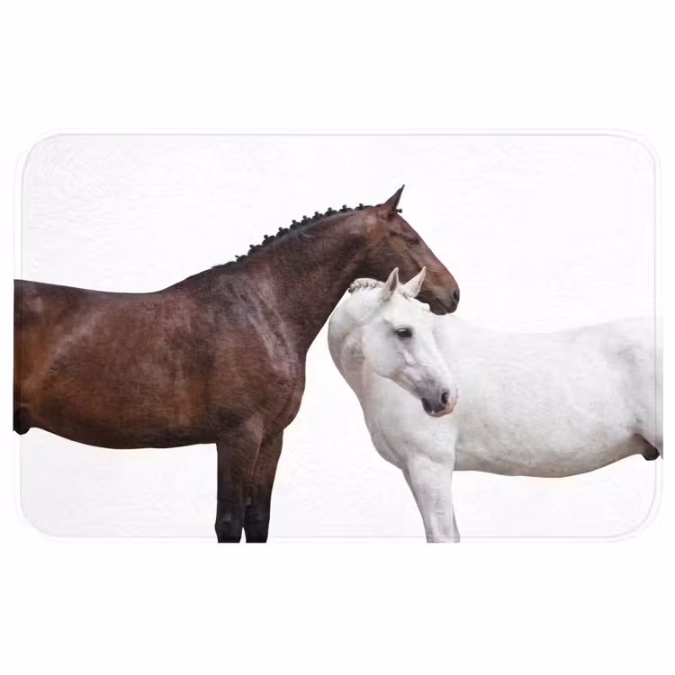 Paard - Modern - Balans Badmat middel -3d