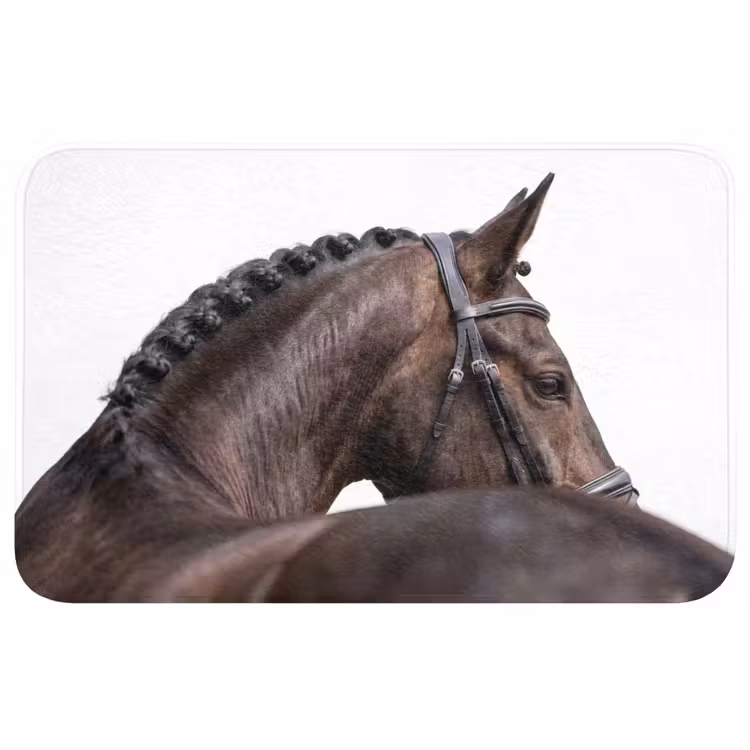 Portret - Paard - Elegant Badmat middel -3d