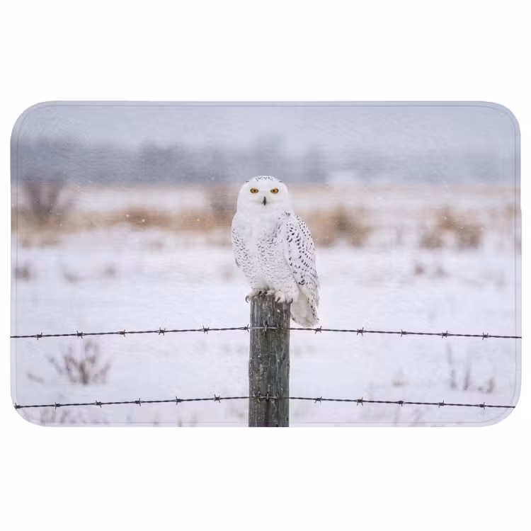 Sneeuwuil - Hek - Sneeuw - Wit Badmat middel -3d
