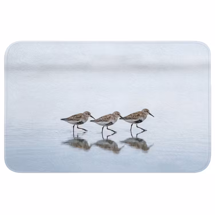 Vogels - Water - Grijs Badmat middel -3d