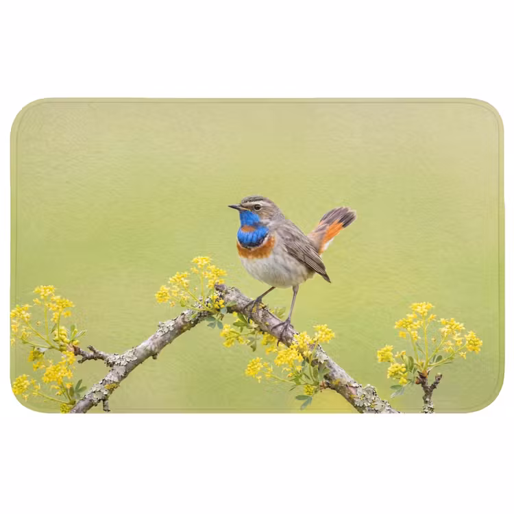 Vogel - Tak - Natuur - Kleurrijk Badmat middel -3d