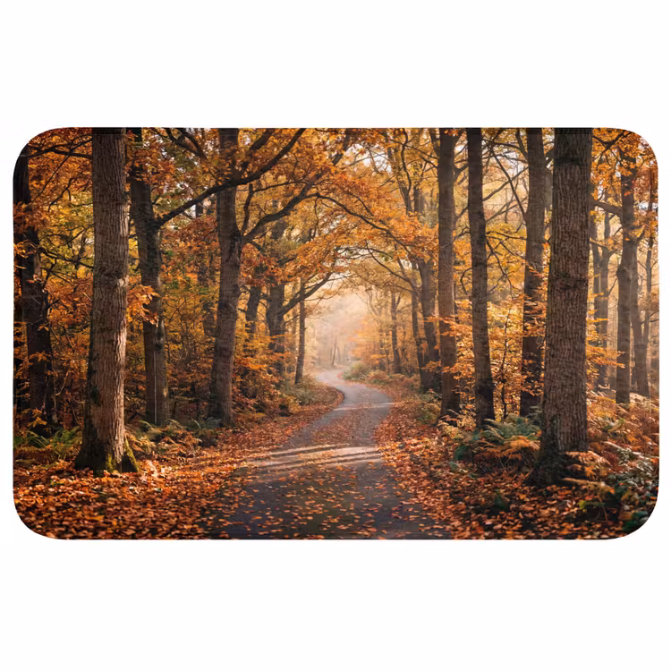 Bospad - Herfstbos - Bladeren - Oranje - Nostalgisch Badmat middel -3d
