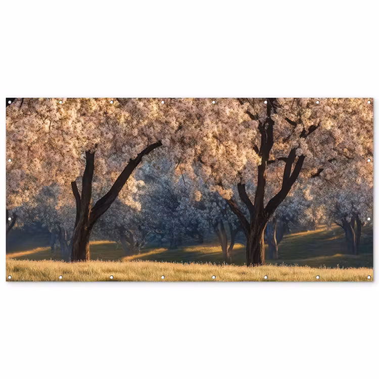 Bomen - Bloesem - Lente Balkonbeschermer Duitsland klein -zz_3d