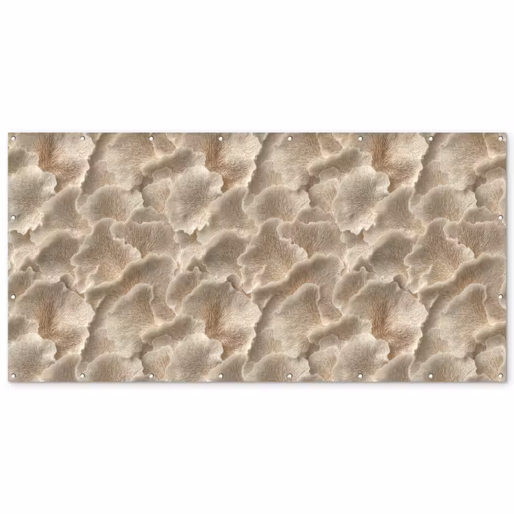 Waaierstructuren - Beige - Vezeltextuur Balkonbeschermer Duitsland klein 596 -zz_3d