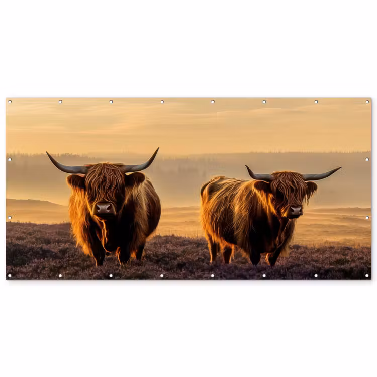 Schotse hooglanders - Heide - Landschap - Dieren Balkonbeschermer Duitsland klein -zz_3d