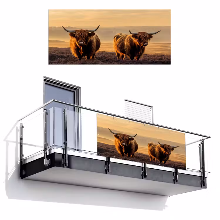 Schotse hooglanders - Heide - Landschap - Dieren Balkonbeschermer Duitsland klein -3d