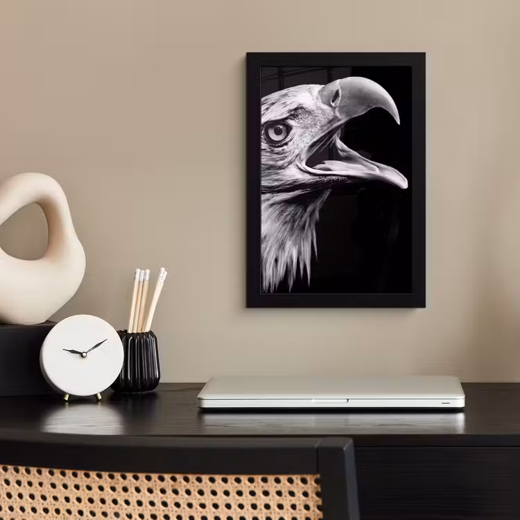 Adelaar - Portret - Roofvogels - Zwart - Wit - Vogel fotolijst zwart zonder passe partout klein -sfeer1