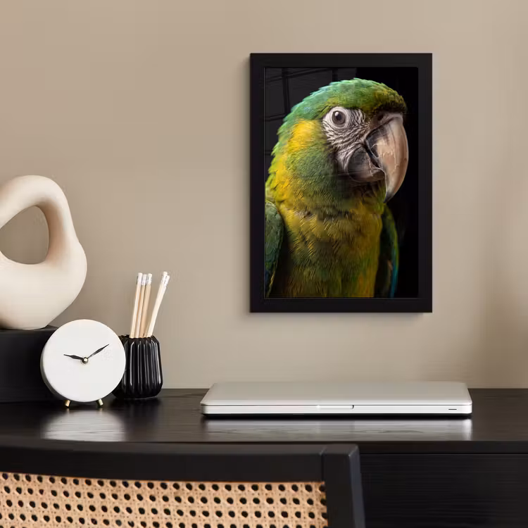 Ara - Portret - Groen fotolijst zwart zonder passe partout klein -sfeer1