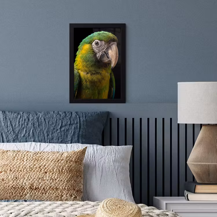Ara - Portret - Groen fotolijst zwart zonder passe partout klein -sfeer3