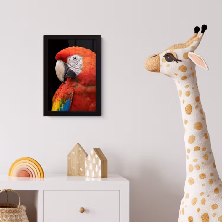 Ara - Portret - Rood fotolijst zwart zonder passe partout klein -usfeer4_kinderkamer