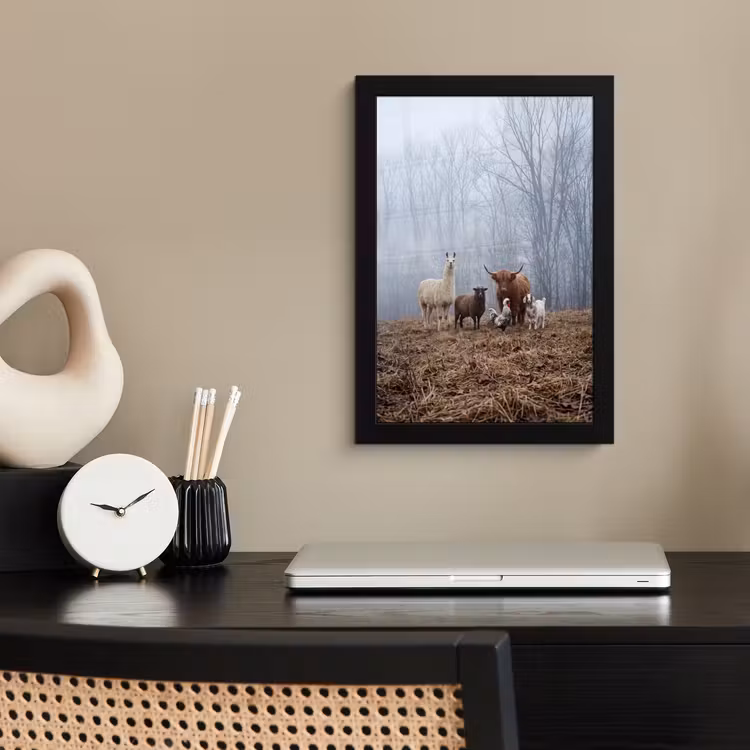 Boerderijdieren - Groep - Mist - Natuur - Rustiek fotolijst zwart zonder passe partout klein -sfeer1