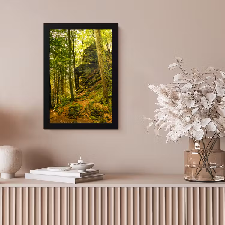 Bomen - Steen - Bos - Natuur - Planten fotolijst zwart zonder passe partout klein -sfeer5