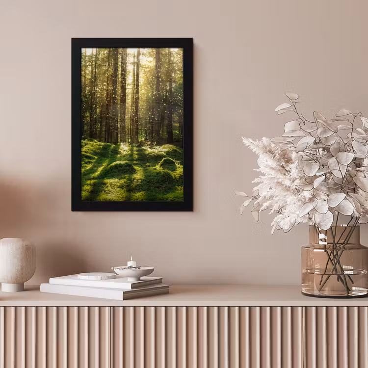 Bomen - Bos - Mos - Planten - Zon - Natuur fotolijst zwart zonder passe partout klein -sfeer5