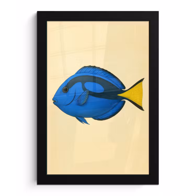 Blauw - Dory - Vis - Staartvin fotolijst zwart zonder passe partout klein -3d