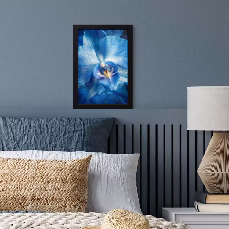 Blauw - Orchidee - Elegeant fotolijst zwart zonder passe partout klein -sfeer3