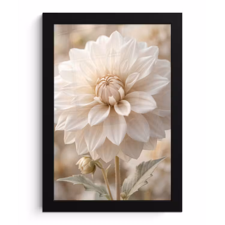 Bloem - Dahlia - Wit fotolijst zwart zonder passe partout klein -3d