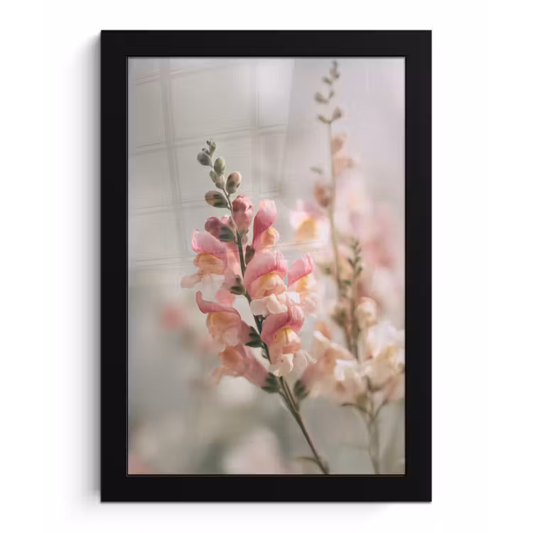 Bloem - Leeuwenbek - Roze - Stengel fotolijst zwart zonder passe partout klein -3d