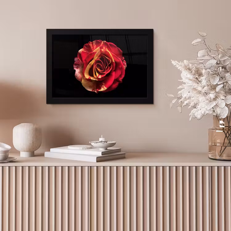 Bloem - Roos - Rood - Zwart fotolijst zwart zonder passe partout klein -sfeer5