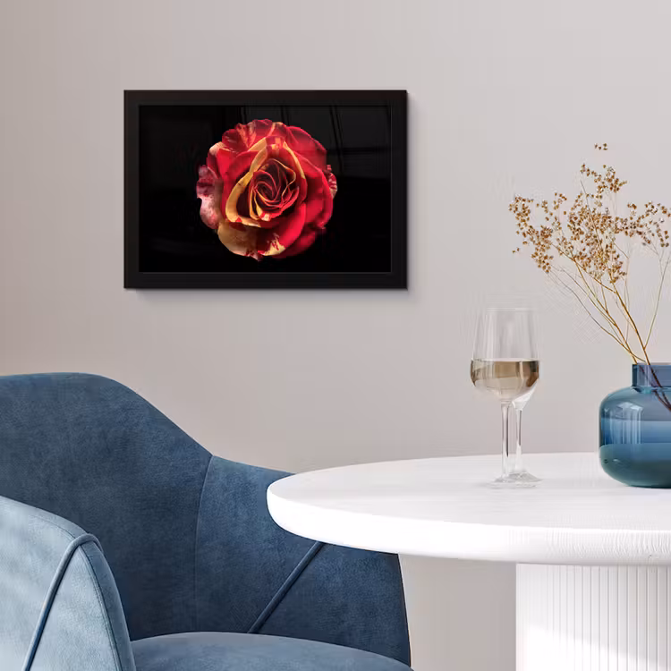 Bloem - Roos - Rood - Zwart fotolijst zwart zonder passe partout klein -sfeer4