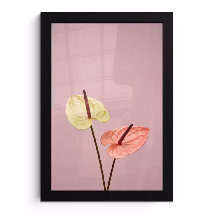 Bloemen - Anthuriums - Geel - Roze fotolijst zwart zonder passe partout klein -3d