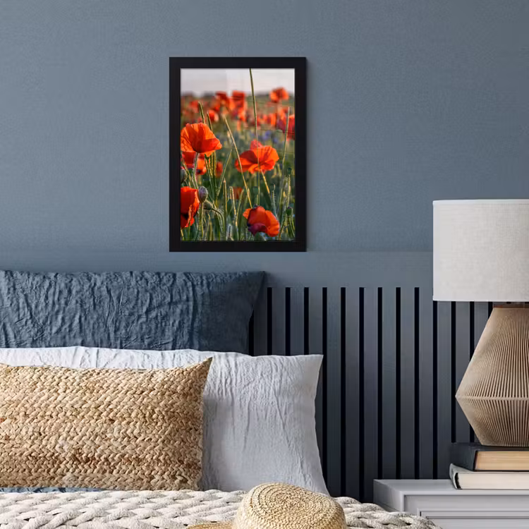 Bloemen - Klaprozen - Natuur - Rood fotolijst zwart zonder passe partout klein -sfeer3