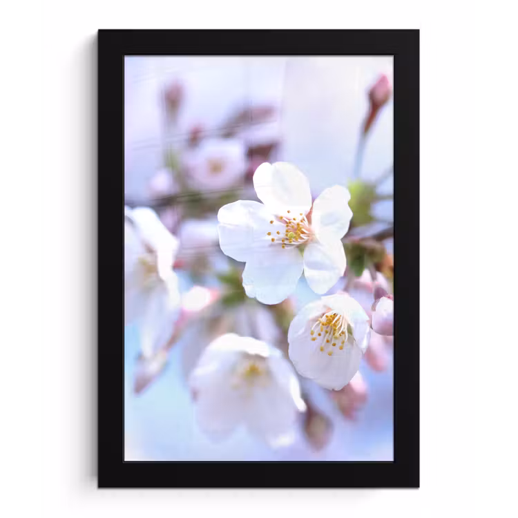 Bloemen - Sakura - Tak - Bloesem takken fotolijst zwart zonder passe partout klein -3d
