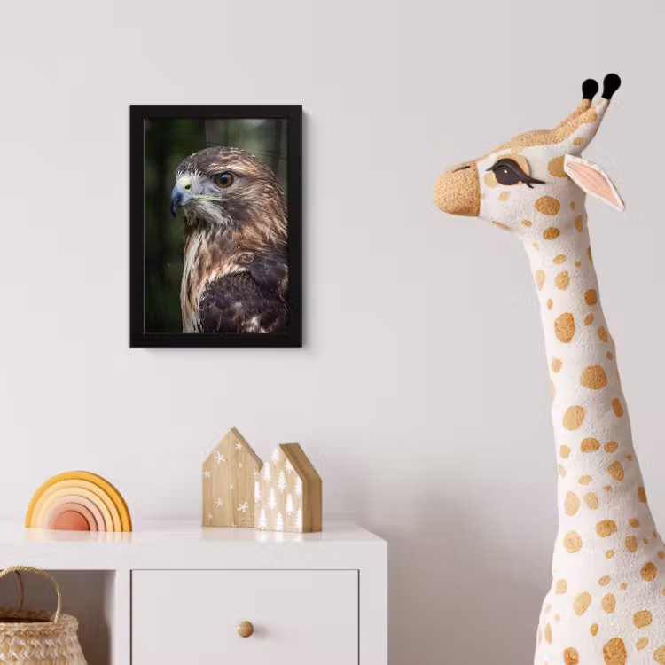 Buizerd - Roofvogel - Natuur - Bruin fotolijst zwart zonder passe partout klein -usfeer4_kinderkamer