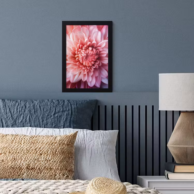 Dahlia - Bloem - Close up - Roze fotolijst zwart zonder passe partout klein -sfeer3