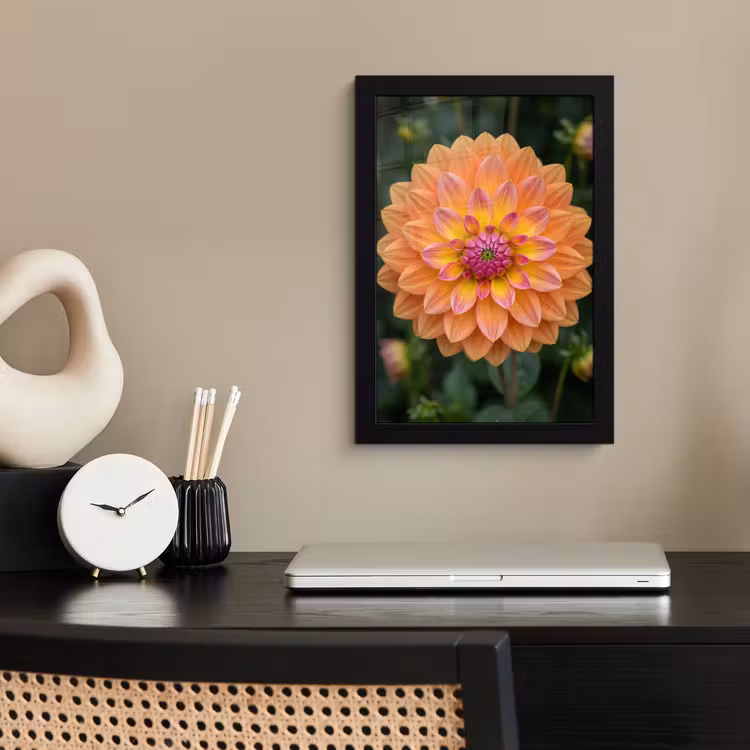 Dahlia - Bloem - Oranje fotolijst zwart zonder passe partout klein -sfeer1