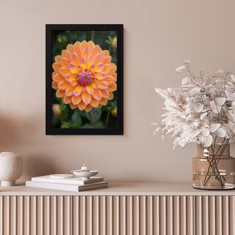 Dahlia - Bloem - Oranje fotolijst zwart zonder passe partout klein -sfeer5