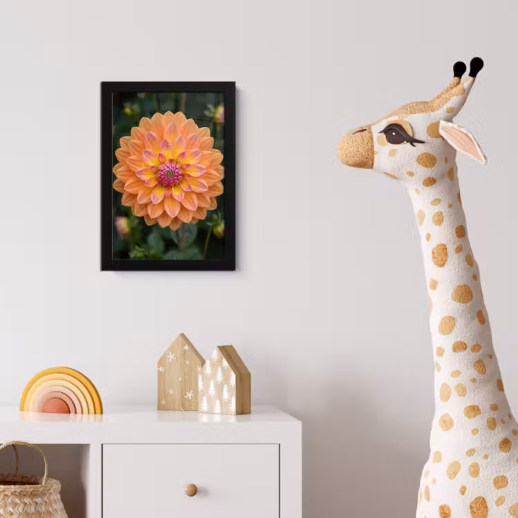 Dahlia - Bloem - Oranje fotolijst zwart zonder passe partout klein -usfeer4_kinderkamer