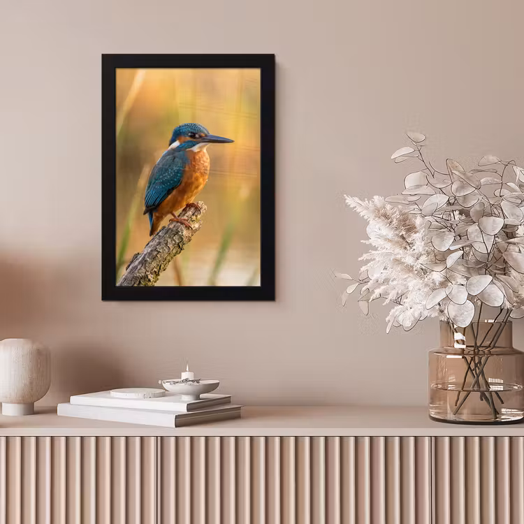IJsvogel - Tak - Water - Kleurrijk - Levendig fotolijst zwart zonder passe partout klein -sfeer5