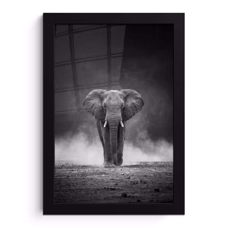 Olifant - Zwart - Wit - Rook fotolijst zwart zonder passe partout klein -3d