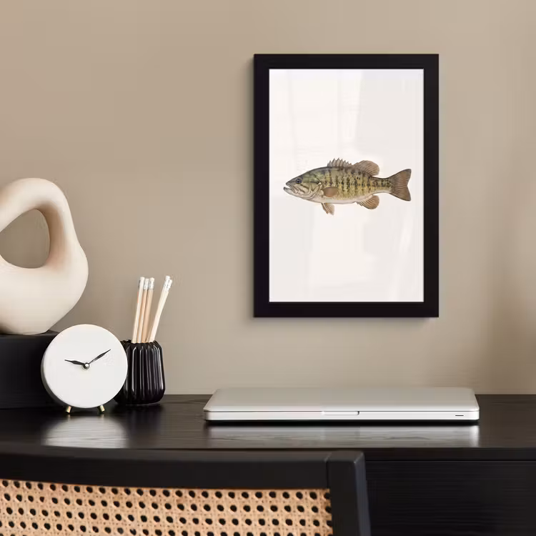 Vissen - Natuur - Vintage fotolijst zwart zonder passe partout klein -sfeer1