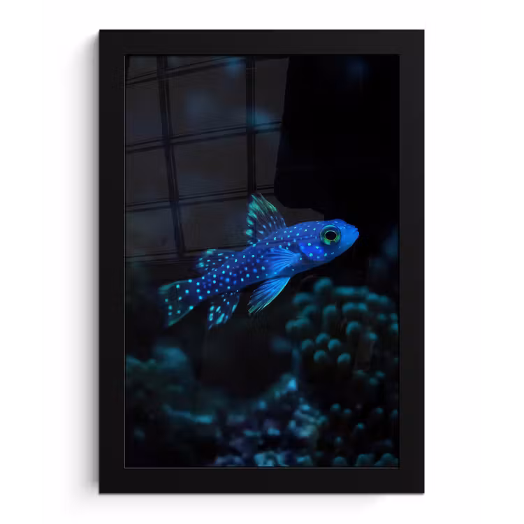 Vis - Stippen - Koraal - Blauw fotolijst zwart zonder passe partout klein -3d