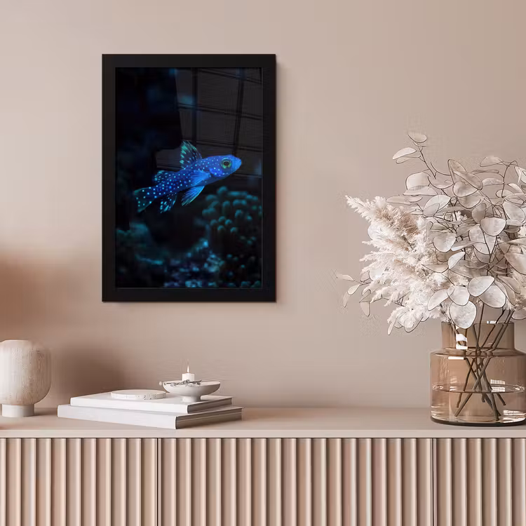 Vis - Stippen - Koraal - Blauw fotolijst zwart zonder passe partout klein -sfeer5