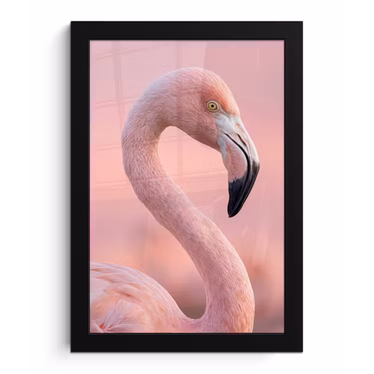 Flamingo - Portret - Roze fotolijst zwart zonder passe partout klein -3d
