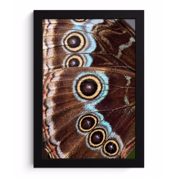 Vleugels - Vlinder - Blauw fotolijst zwart zonder passe partout klein -3d