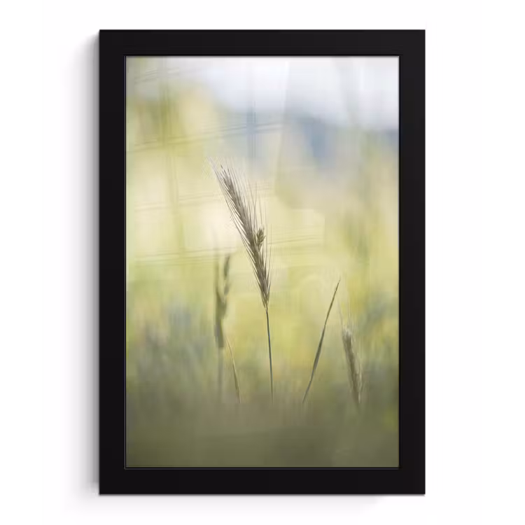 Graan - Aar - Natuur - Groen - Detail fotolijst zwart zonder passe partout klein -3d