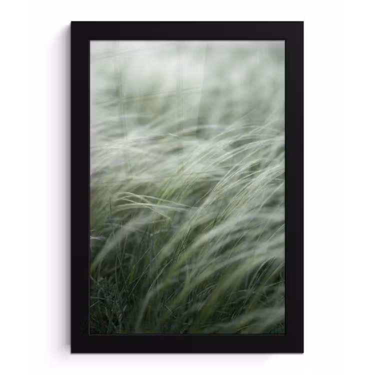 Gras - Wazig - Natuur - Groen - Zacht fotolijst zwart zonder passe partout klein -3d