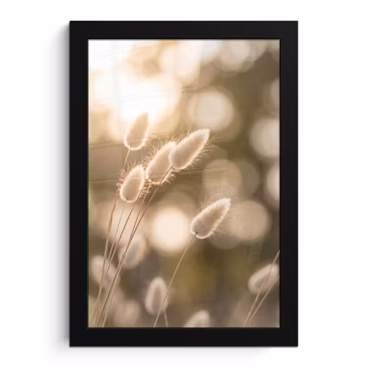 Hazestaartgras - Wit - Zonlicht fotolijst zwart zonder passe partout klein -3d