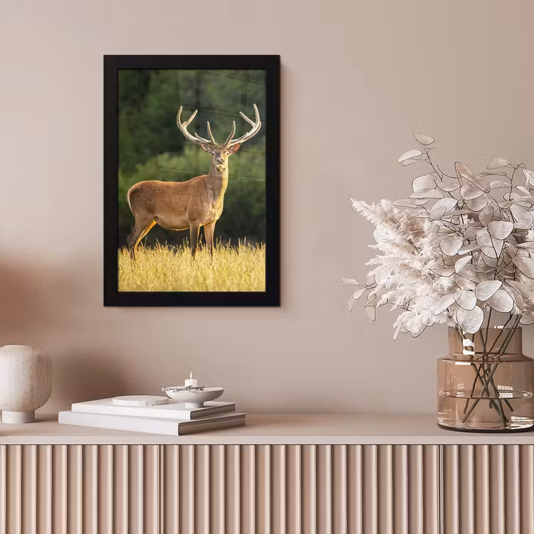 Hert - Gewei - Gras - Natuur - Dieren - Groen fotolijst zwart zonder passe partout klein -sfeer5