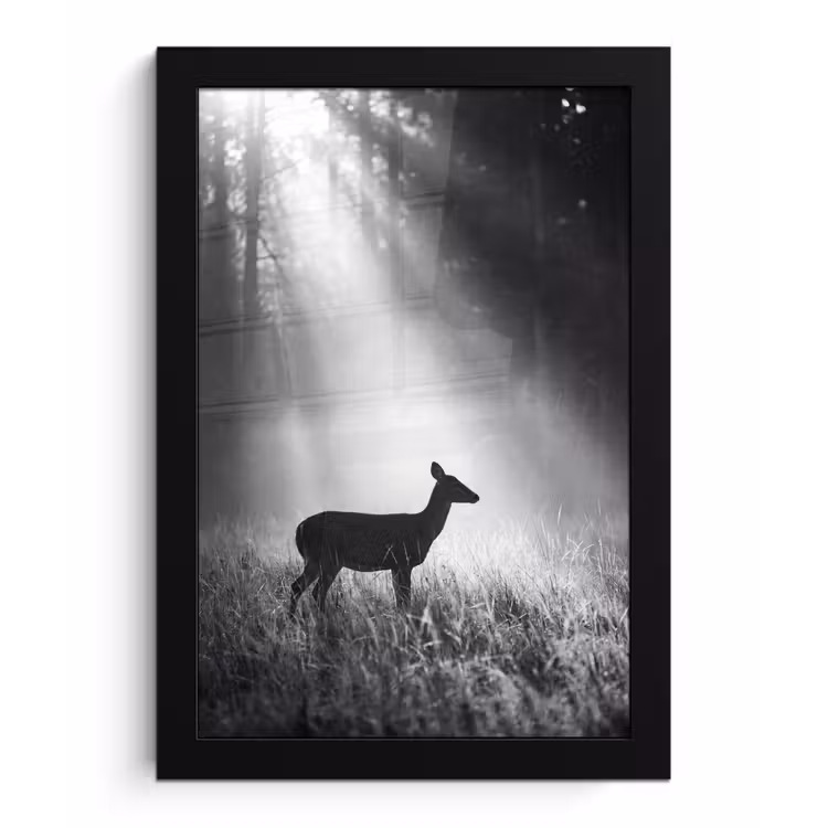 Hert - Bos - Zonnestralen - Zwart-wit - Natuur fotolijst zwart zonder passe partout klein -3d