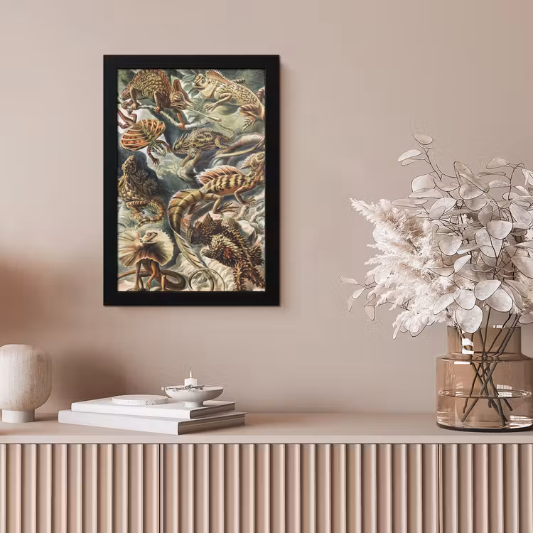 Vintage - Kunst - Ernst Haeckel - Salamanders - Dieren fotolijst zwart zonder passe partout klein -sfeer5